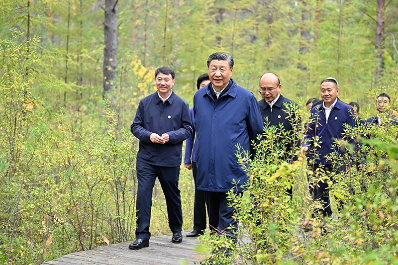 9月6日至8日，中共中央總書記、國家主席、中央軍委主席習(xí)近平在黑龍江考察。這是6日下午，習(xí)近平在大興安嶺地區(qū)漠河市漠河林場自然林區(qū)考察